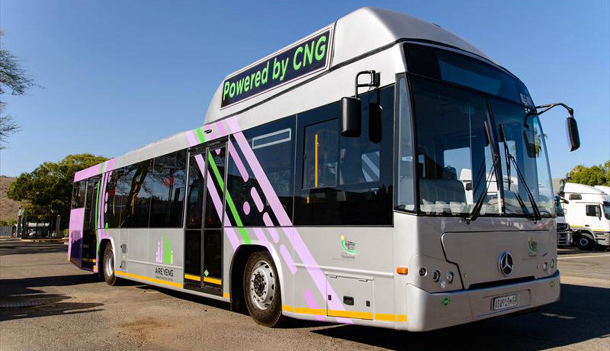 Bus Half Branding